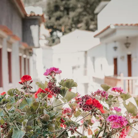 Rural Santiago De Tunte * San Bartolomé
