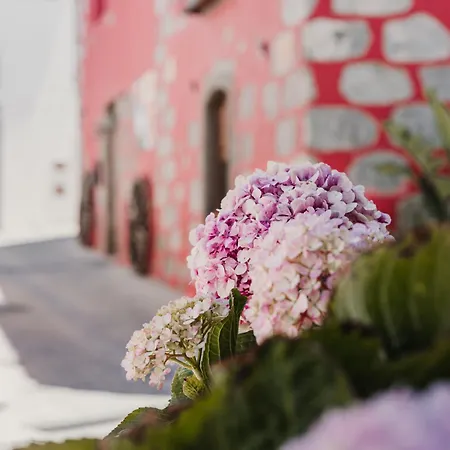 Lejlighed Rural Santiago De Tunte San Bartolomé